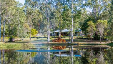 Farm For Sale - QLD - Paterson - 4570 - Tranquil 41.06 Acre Oasis: Serene Gardens and Unmatched Peace Await on this Idyllic Property!  (Image 2)