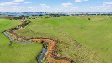 Farm For Sale - VIC - Grassmere - 3281 - Prime Grazing Land with Merri River Frontage  (Image 2)