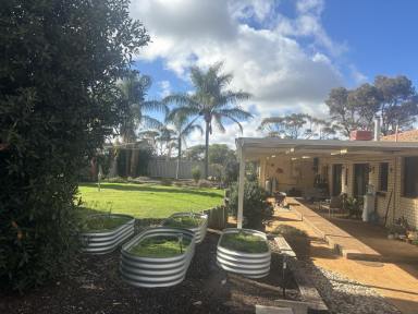 Farm For Sale - WA - Cuballing - 6311 - Little Gem within 200km from Perth  (Image 2)