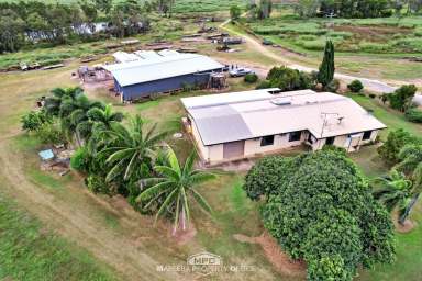 Farm For Sale - QLD - Dimbulah - 4872 - IDEAL LIFESTYLE LIVING + FARMING VENTURE  (Image 2)