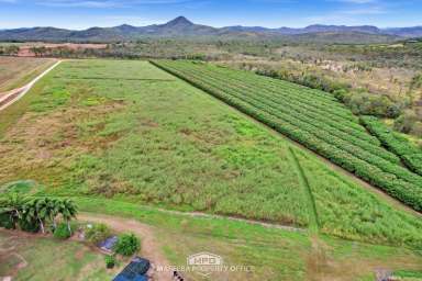 Farm For Sale - QLD - Dimbulah - 4872 - IDEAL LIFESTYLE LIVING + FARMING VENTURE  (Image 2)