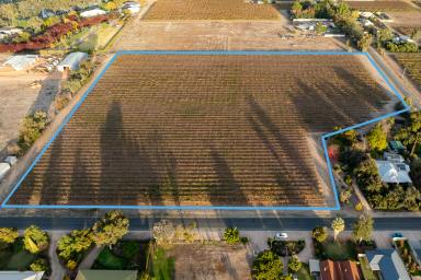 Farm For Sale - SA - Renmark - 5341 - Calling All Prospective Developers.  (Image 2)