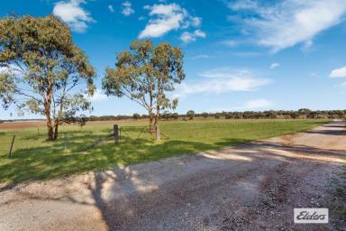 Farm For Sale - VIC - Raywood - 3570 - Rural Holding Ideal for Outdoor Adventures and Equestrian Activities, 10.25 Ac / 4.15 Ha  (Image 2)