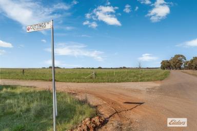Farm For Sale - VIC - Raywood - 3570 - Rural Holding Ideal for Outdoor Adventures and Equestrian Activities, 10.25 Ac / 4.15 Ha  (Image 2)