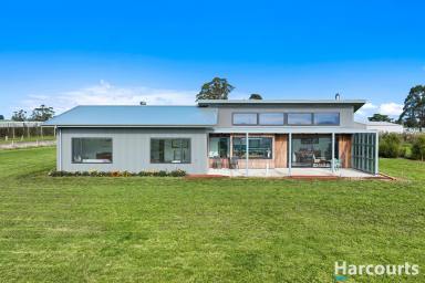 Farm For Sale - VIC - Thorpdale South - 3824 - Diversified Produce Tree Farm with Energy Efficient Home  (Image 2)