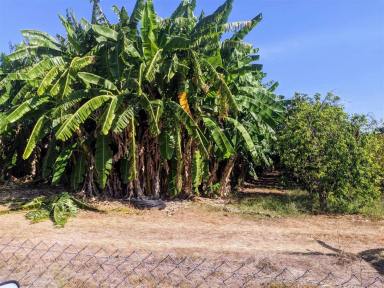 Farm For Sale - NT - Marrakai - 0822 - Tropical Haven Investment Opportunity  (Image 2)