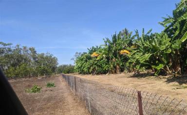 Farm For Sale - NT - Marrakai - 0822 - Tropical Haven Investment Opportunity  (Image 2)