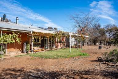 Farm Sold - SA - Leasingham - 5452 - ECO FRIENDLY HIDEAWAY  (Image 2)