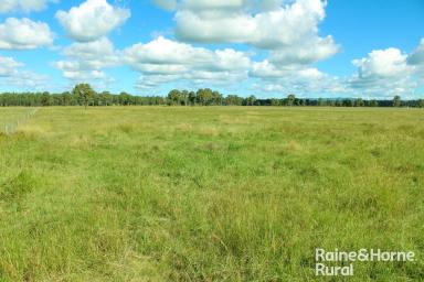Farm For Sale - NSW - Leeville - 2470 - Potential Plus  (Image 2)