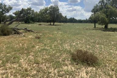 Farm Auction - NSW - Gongolgon - 2839 - The Block - Blank Canvas  (Image 2)