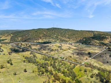 Farm For Sale - VIC - Sutton Grange - 3448 - ‘Glendonald’ – Country Character and Acreage  (Image 2)