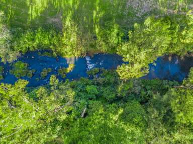 Farm Sold - NSW - Kyogle - 2474 - World Heritage Views and Long creek Frontage!  (Image 2)