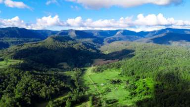 Farm Sold - NSW - Kyogle - 2474 - World Heritage Views and Long creek Frontage!  (Image 2)