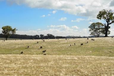 Farm For Sale - VIC - Creightons Creek - 3666 - The Perfect Blank Canvas, A Productive Farm  (Image 2)