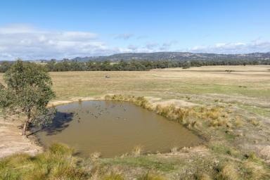 Farm For Sale - VIC - Creightons Creek - 3666 - The Perfect Blank Canvas, A Productive Farm  (Image 2)