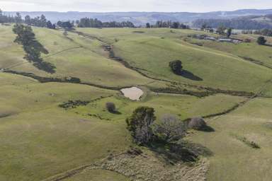 Farm Sold - TAS - Karoola - 7267 - Versatile & Attractive: Stunning farm in Karoola  (2 Adjoining Titles)  (Image 2)