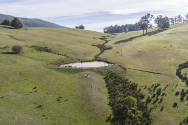 Farm Sold - TAS - Karoola - 7267 - Versatile & Attractive: Stunning farm in Karoola  (2 Adjoining Titles)  (Image 2)