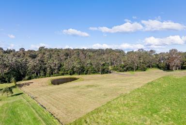 Farm For Sale - NSW - Narooma - 2546 - This Block has it ALL  (Image 2)