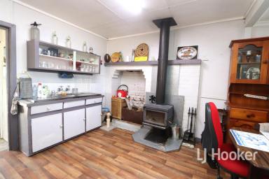Farm For Sale - NSW - Tingha - 2369 - Miner's Cottage on Small Acerage  (Image 2)