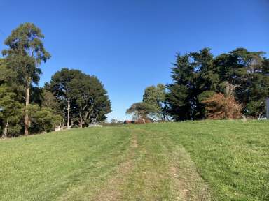 Farm For Sale - VIC - Dollar - 3871 - Pretty acreage block with picturesque rural outlook  (Image 2)