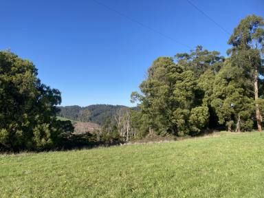 Farm For Sale - VIC - Dollar - 3871 - Pretty acreage block with picturesque rural outlook  (Image 2)