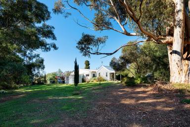 Farm For Sale - VIC - Strangways - 3461 - Country Retreat on 1.5 acres (approx)  (Image 2)