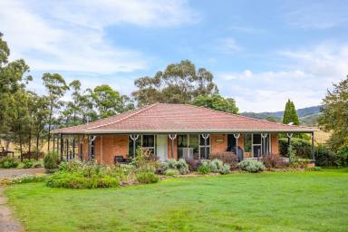 Farm For Sale - NSW - Dungog - 2420 - Exchanged in Cooling off Period  (Image 2)