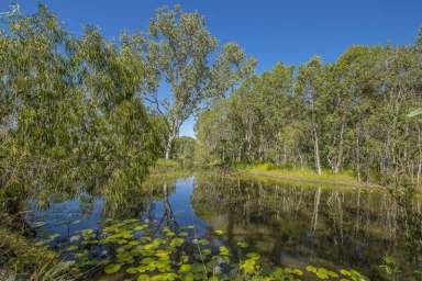 Farm Sold - QLD - Yabulu - 4818 - FABULOUS LIFESTYLE PROPERTY WITH CHARACTER QUEENSLAND HOME - SET ON NEARLY 25 ACRES  (Image 2)