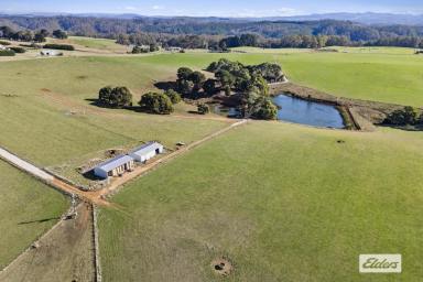 Farm For Sale - TAS - Wynyard - 7325 - FOR SALE BY EXPRESSIONS OF INTEREST  (Image 2)