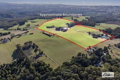 Farm For Sale - TAS - Wynyard - 7325 - FOR SALE BY EXPRESSIONS OF INTEREST  (Image 2)