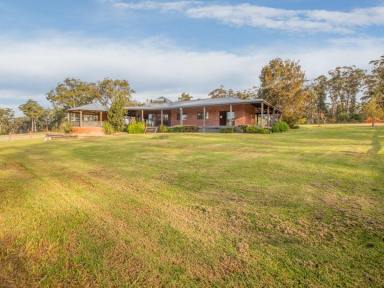 Farm For Sale - NSW - Kalaru - 2550 - OVER 8 ACRES, HOUSE & SHED!  (Image 2)