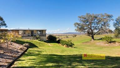 Farm For Sale - NSW - Mudgee - 2850 - "BENWIN PARK"  (Image 2)