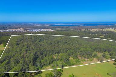Farm For Sale - NSW - Lake Innes - 2446 - 30.63ha RURAL BLOCK APPROX 3.5KM TO SOVEREIGN HILLS ROUNDABOUT  (Image 2)