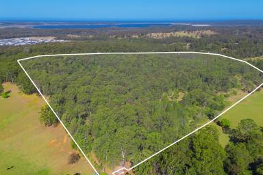Farm For Sale - NSW - Lake Innes - 2446 - 30.63ha RURAL BLOCK APPROX 3.5KM TO SOVEREIGN HILLS ROUNDABOUT  (Image 2)