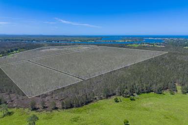 Farm For Sale - NSW - Port Macquarie - 2444 - Rare Opportunity-100 Acres of Untapped Potential in Prime Coastal Location  (Image 2)