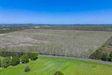 Farm For Sale - NSW - Port Macquarie - 2444 - Rare Opportunity-100 Acres of Untapped Potential in Prime Coastal Location  (Image 2)