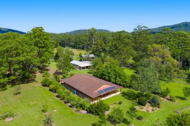 Farm Sold - NSW - King Creek - 2446 - Embrace Endless Possibilities - Rural Retreat in King Creek  (Image 2)