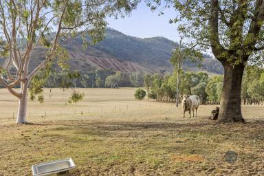 Farm Auction - VIC - Walwa - 3709 - DISCOVER COUNTRY LIVING IN QUALITY LOCATION  (Image 2)