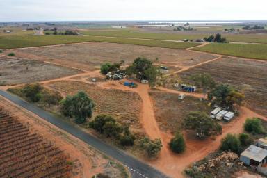 Farm For Sale - NSW - Coomealla - 2717 - THE OPPORTUNITIES ARE ENDLESS  (Image 2)