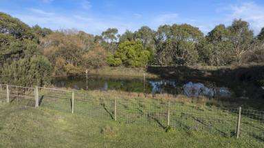 Farm For Sale - VIC - Tuerong - 3915 - A Sprawling 10-Acre Canvas for Your Dream Rural Estate  (Image 2)