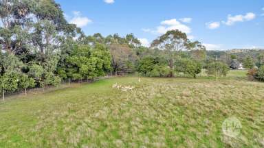 Farm For Sale - VIC - Tuerong - 3915 - 3 Phase Power & 2 Seperate Electricity Meters  (Image 2)