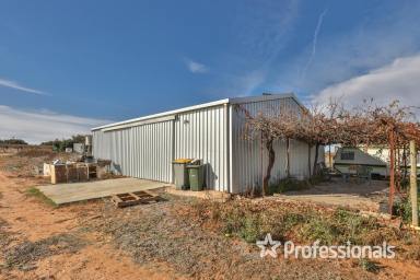 Farm For Sale - VIC - Cardross - 3496 - Irrigation Redevelopment Farm - 32.89 Hectares  (Image 2)