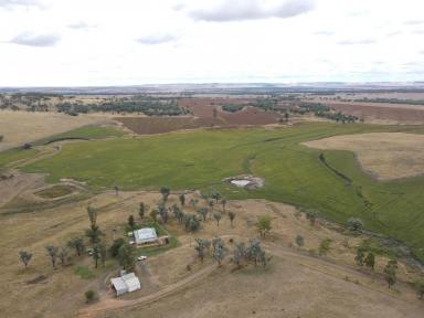 Farm For Sale - NSW - Warialda - 2402 - Mixed Grazing & Cropping Platform  (Image 2)