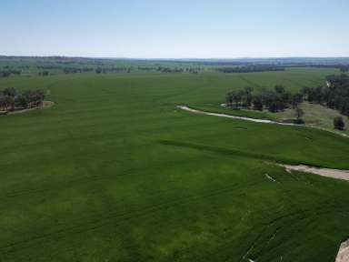 Farm For Sale - NSW - Warialda - 2402 - For Sale in-one-line or Separate Assets  (Image 2)