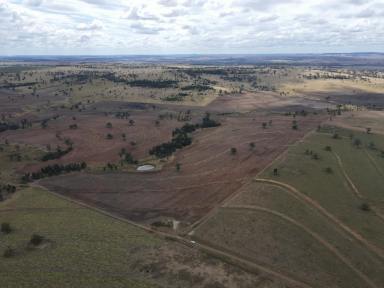 Farm For Sale - NSW - Warialda - 2402 - Mixed Grazing & Cropping Platform  (Image 2)