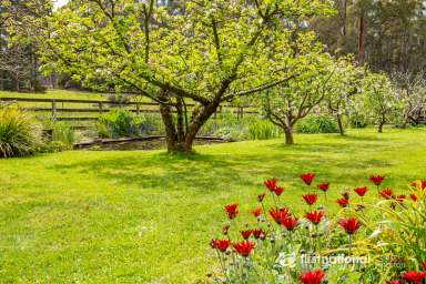 Farm For Sale - TAS - Margate - 7054 - Substantial Lifestyle Property Plus Self-Contained Studio  (Image 2)