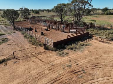 Farm For Sale - QLD - North Talwood - 4496 - Secure Breeding, Backgrounding or Develop to Farming.  (Image 2)