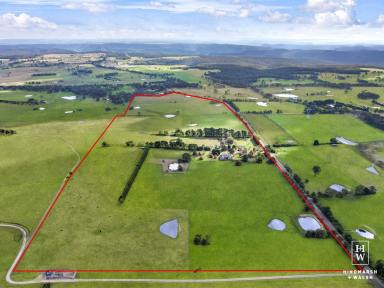 Farm For Sale - NSW - Mandemar - 2575 - Highly Productive Mixed Farming Enterprise  (Image 2)