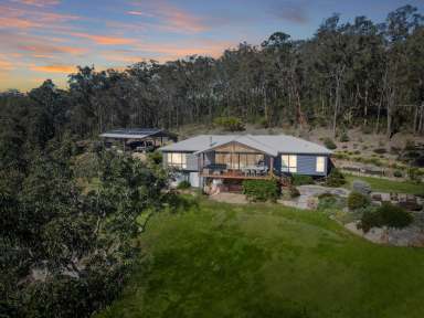 Farm For Sale - NSW - Laguna - 2325 - Eco-Friendly Living in Prestigious Laguna Locale  (Image 2)