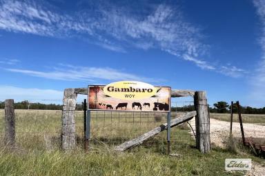 Farm For Sale - QLD - Chinchilla - 4413 - Country Lifestyle - less than 15 mins to town !!  (Image 2)